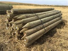 Pointed Wooden Fence Posts 