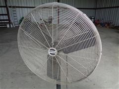 DSC07152.JPG