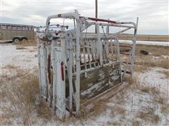 Pearson Cattle Processing Chute 
