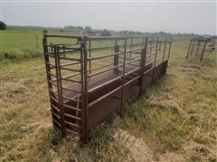 Calf Roping Chute 