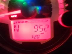 DSC02251.JPG