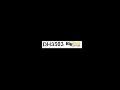DH3503 ID.JPG
