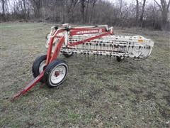 International 35 Parallel Bar Rake 