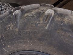 DSC06720.JPG