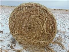 2015 Cane Hay Round Bales 