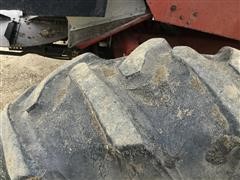 IMG_1184.JPG