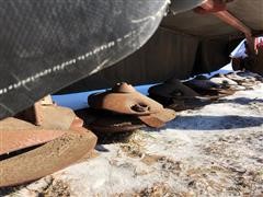 IMG_2041.JPG
