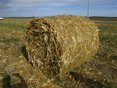 2018 Unharvested Hailed Corn Round Bales 