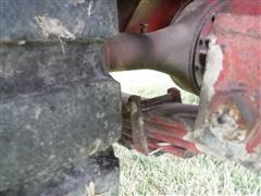 DSCF0709.JPG