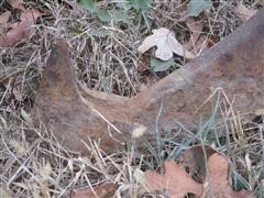 IMG_0651.JPG