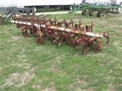 Lilliston Rolling Cultivator 