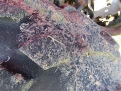 IMG_8422.JPG