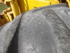 DSC02147.JPG