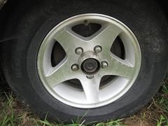 IMG_9490.JPG
