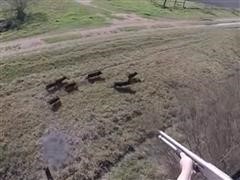 TEXAS HELICOPTER HOG HUNT 