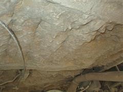 IMG_2685.JPG