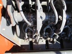 IMG_9355.JPG