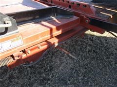 IMG_9398.JPG