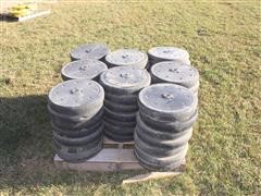 IMG_9898.JPG