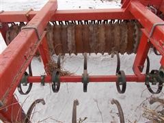 DSCN3194.JPG