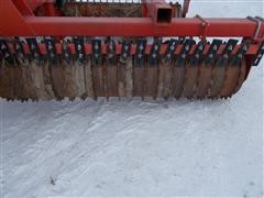 DSCN3195.JPG