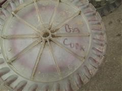 IMG_2303.JPG