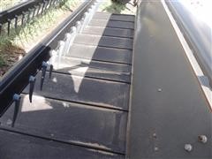 DSCN9733.JPG