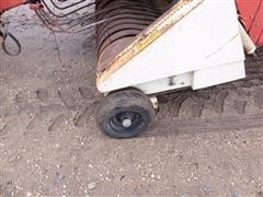 IMG_4537.JPG