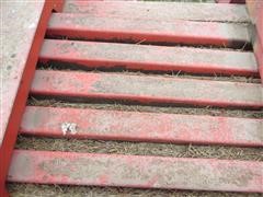 IMG_4550.JPG