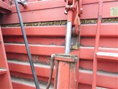 IMG_4559.JPG