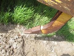 IMG_5096.JPG