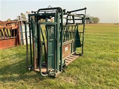 Big Valley Cattle Working Chute 