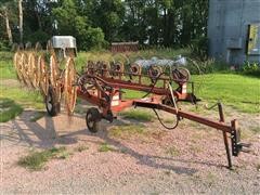 Hesston 12 Wheel Hay Rake 