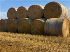 1) Load Of Oat Straw 1000lb Bales 