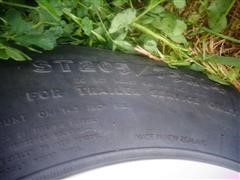 DSC03560.JPG