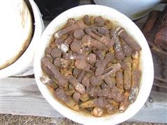 IMG_0347.JPG