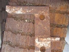IMG_0349.JPG