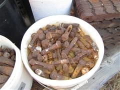 IMG_0356.JPG