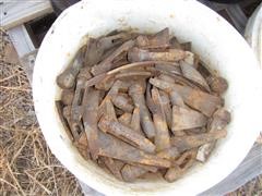 IMG_0355.JPG