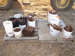 IMG_0337.JPG