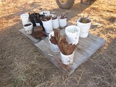 IMG_0338.JPG
