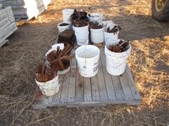 IMG_0339.JPG