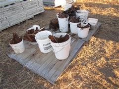 IMG_0340.JPG