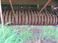 IMG_2781.JPG