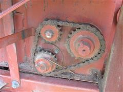 IMG_2790.JPG