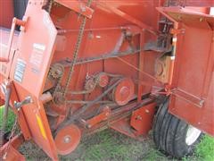 IMG_2812.JPG