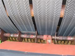 IMG_2813.JPG
