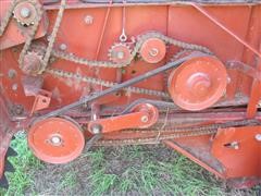IMG_2810.JPG