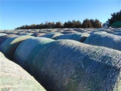 2016 Milo Stubble Bales 