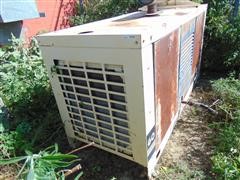 DSC08050.JPG